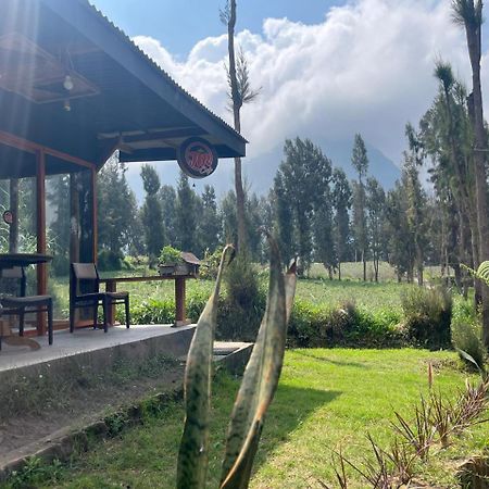 Gangga Guest House Bromo Ngadisari Eksteriør billede