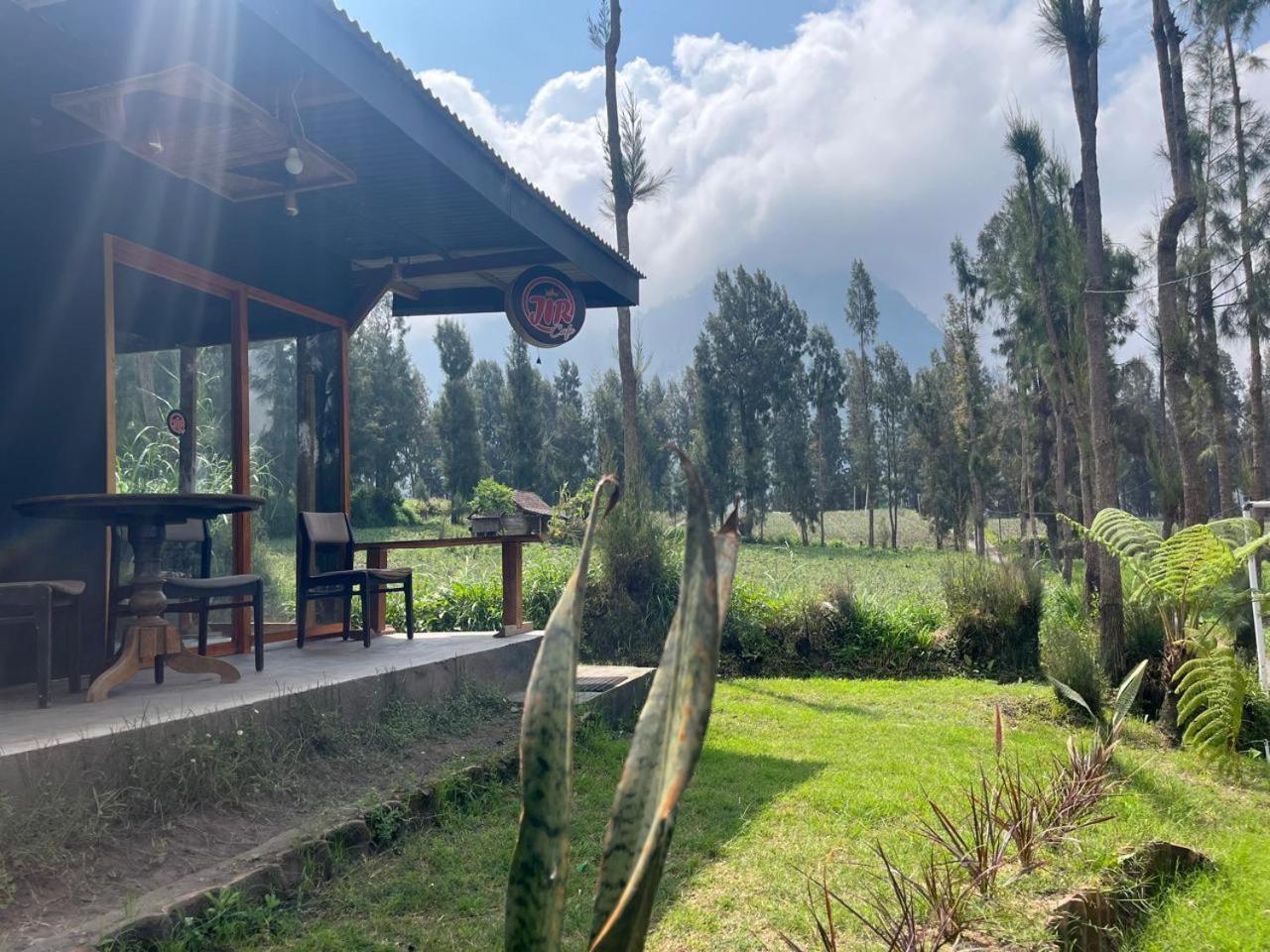 Gangga Guest House Bromo Ngadisari Eksteriør billede